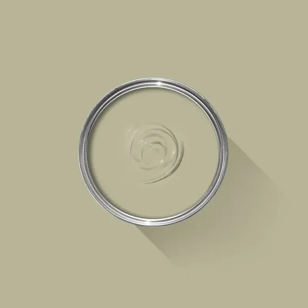 Farrow & Ball Ball Green 75 (uitlopend sample)