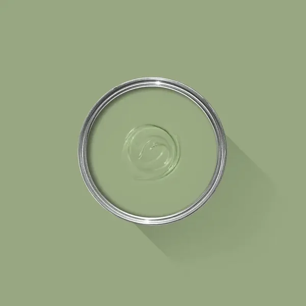 Farrow & Ball Saxon Green 80 Exterior Eggshell
