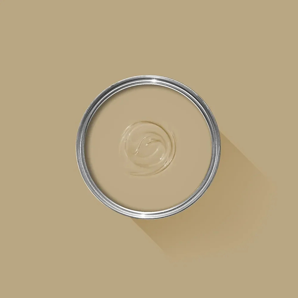 Farrow & Ball Biscuit 38 Casein Distemper