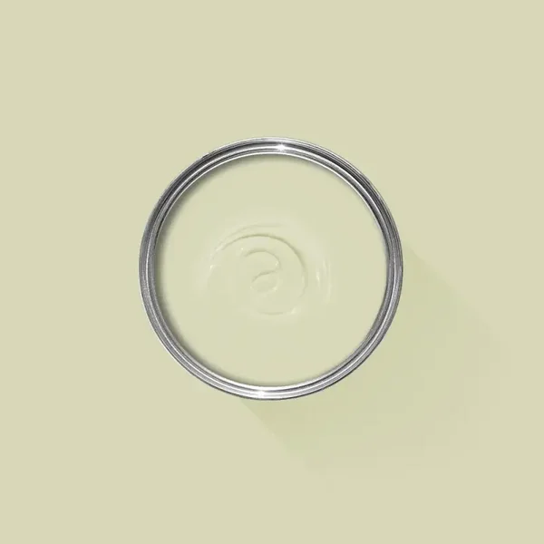 Farrow & Ball Green Ground 206 Full Gloss