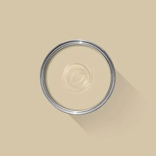 Farrow & Ball Savage Ground 213 Exterior Eggshell