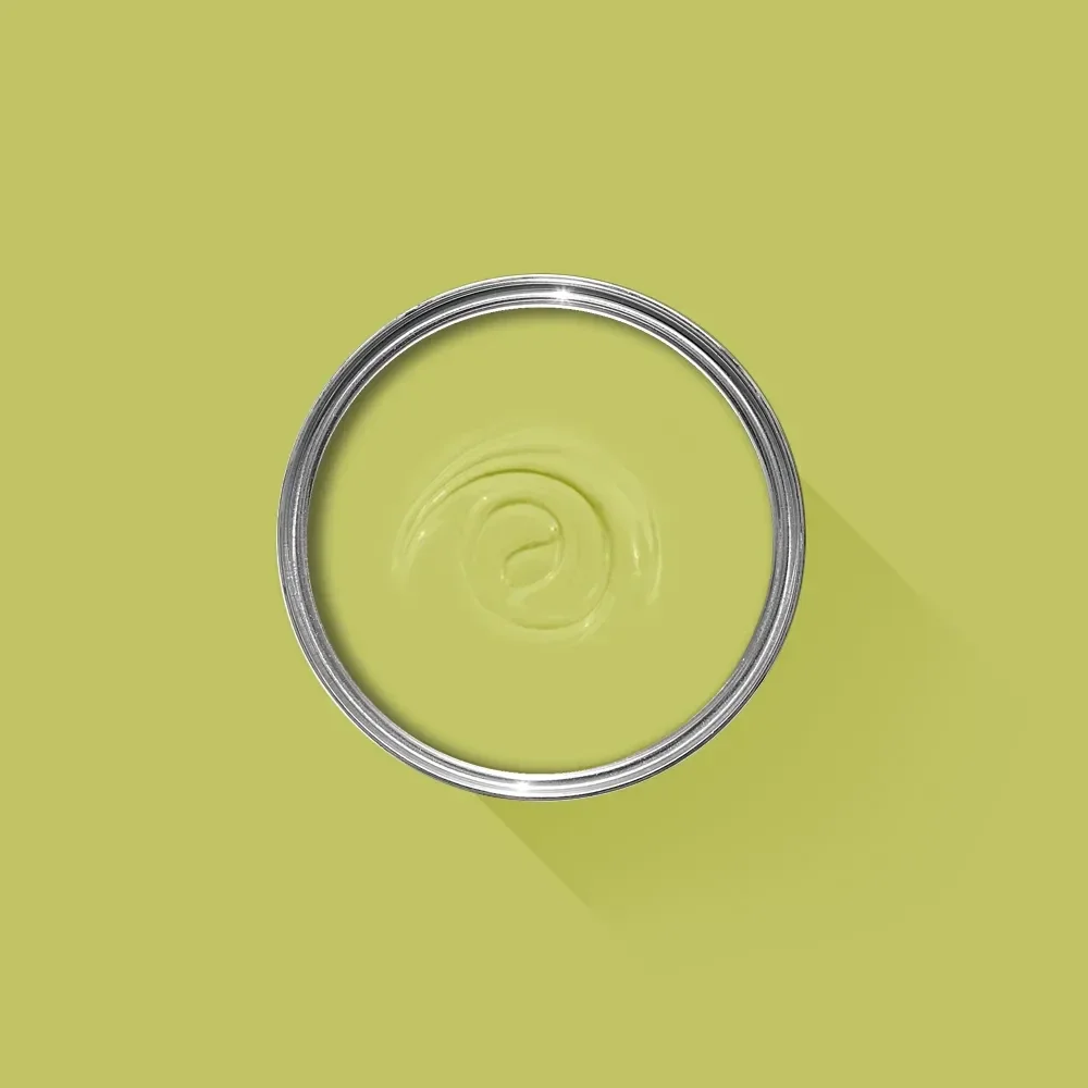 Farrow & Ball Acid Drop 9908 Casein Distemper
