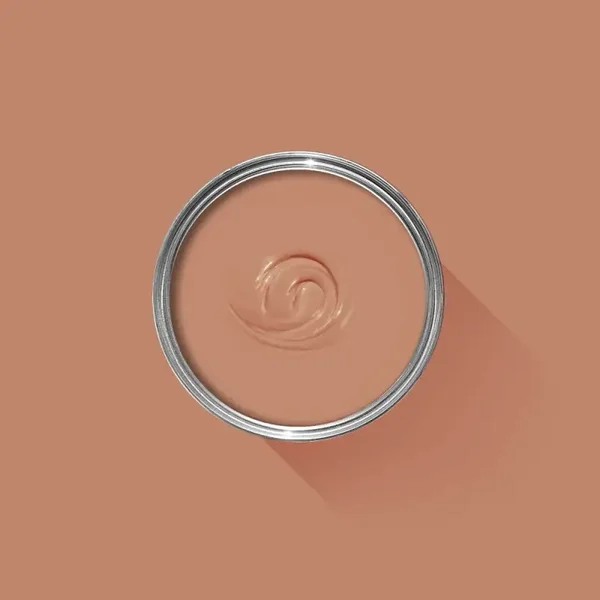 Farrow & Ball Folly Pink G14 Dead Flat