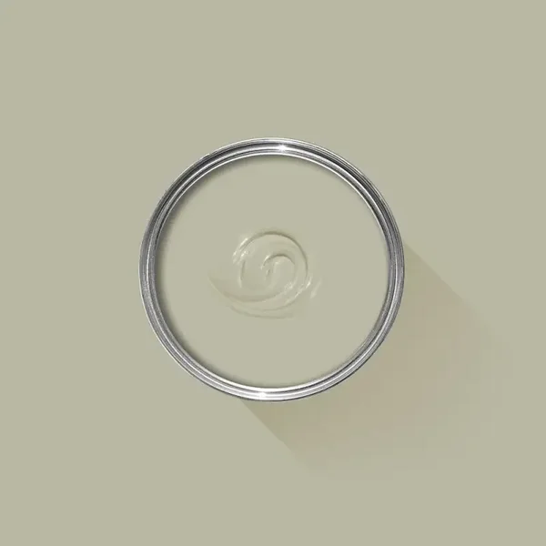 Farrow & Ball Ash Grey W9 Dead Flat