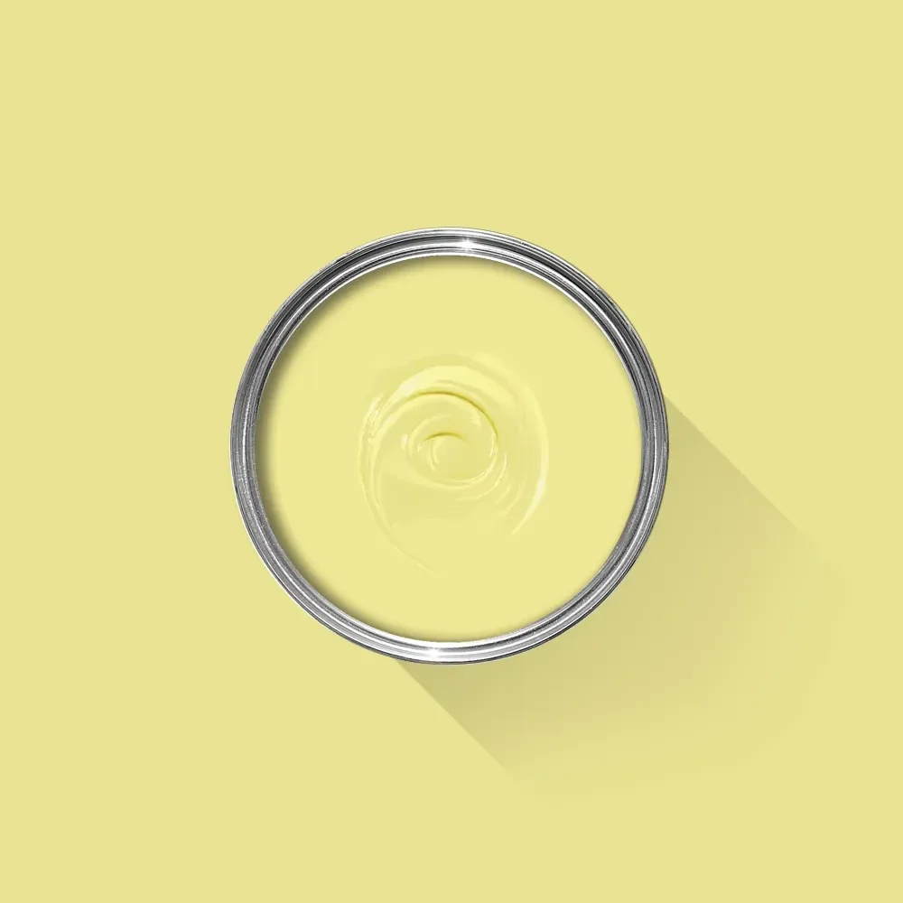 Farrow & Ball Butterweed 9802 Soft Distemper