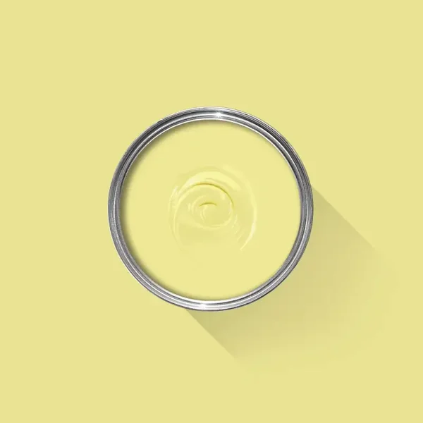 Farrow & Ball Butterweed 9802 Dead Flat