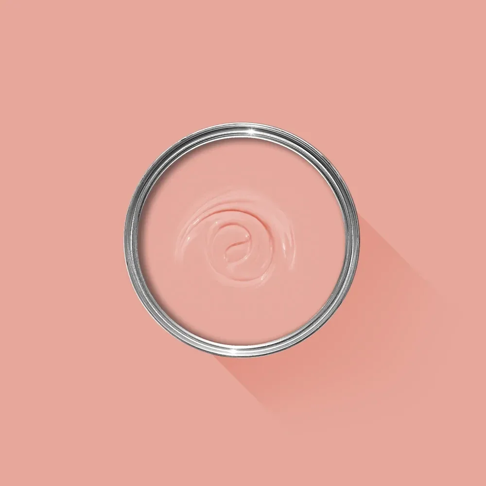 Farrow & Ball Blooth Pink 9806 Soft Distemper