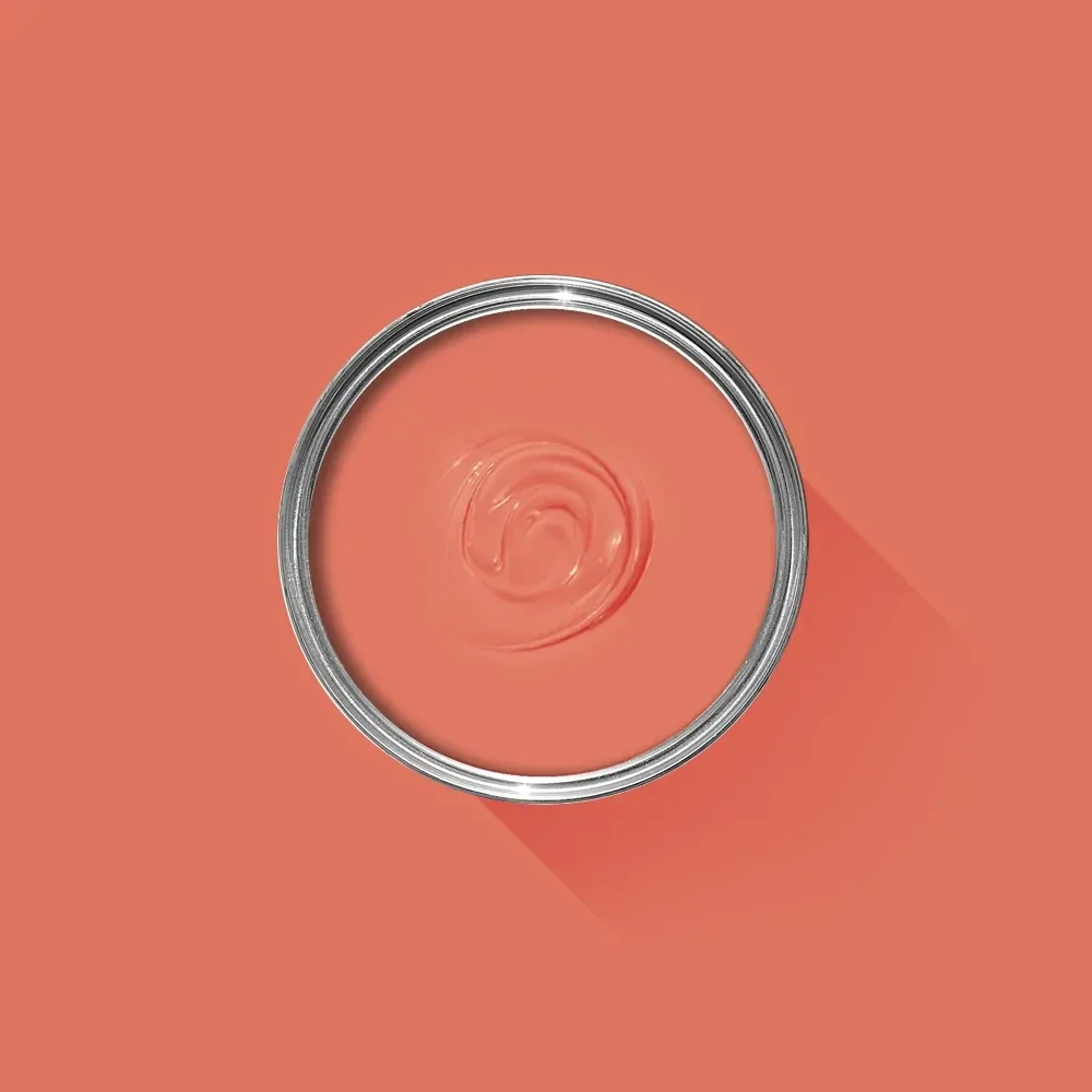 Farrow & Ball Bisque 9811 Exterior Masonry