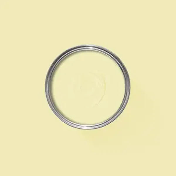 Farrow & Ball Lancaster Yellow 249 Dead Flat