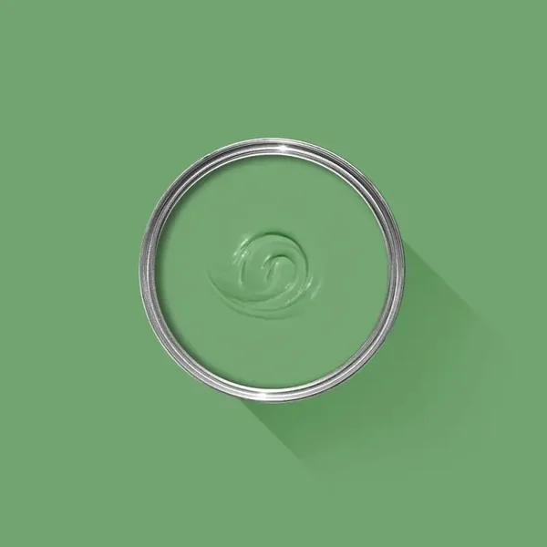 Farrow & Ball Emerald Green W53 Exterior Eggshell