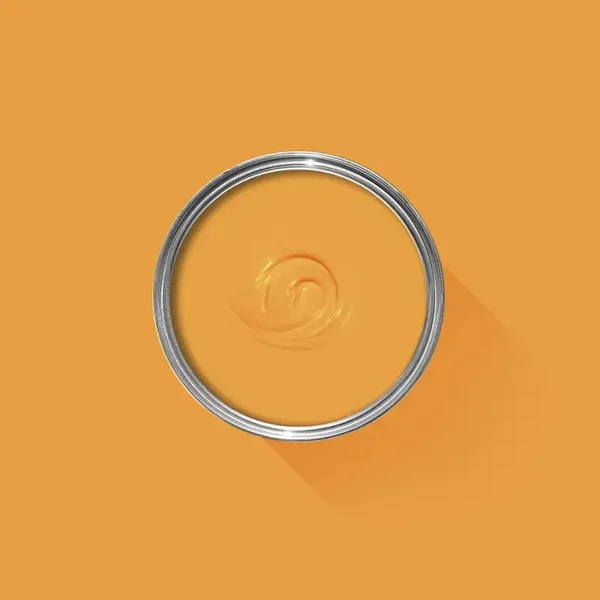 Farrow & Ball Dutch Orange W76 Dead Flat