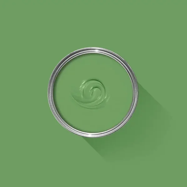 Farrow & Ball Raw Tomatillo CB6 Flat Eggshell