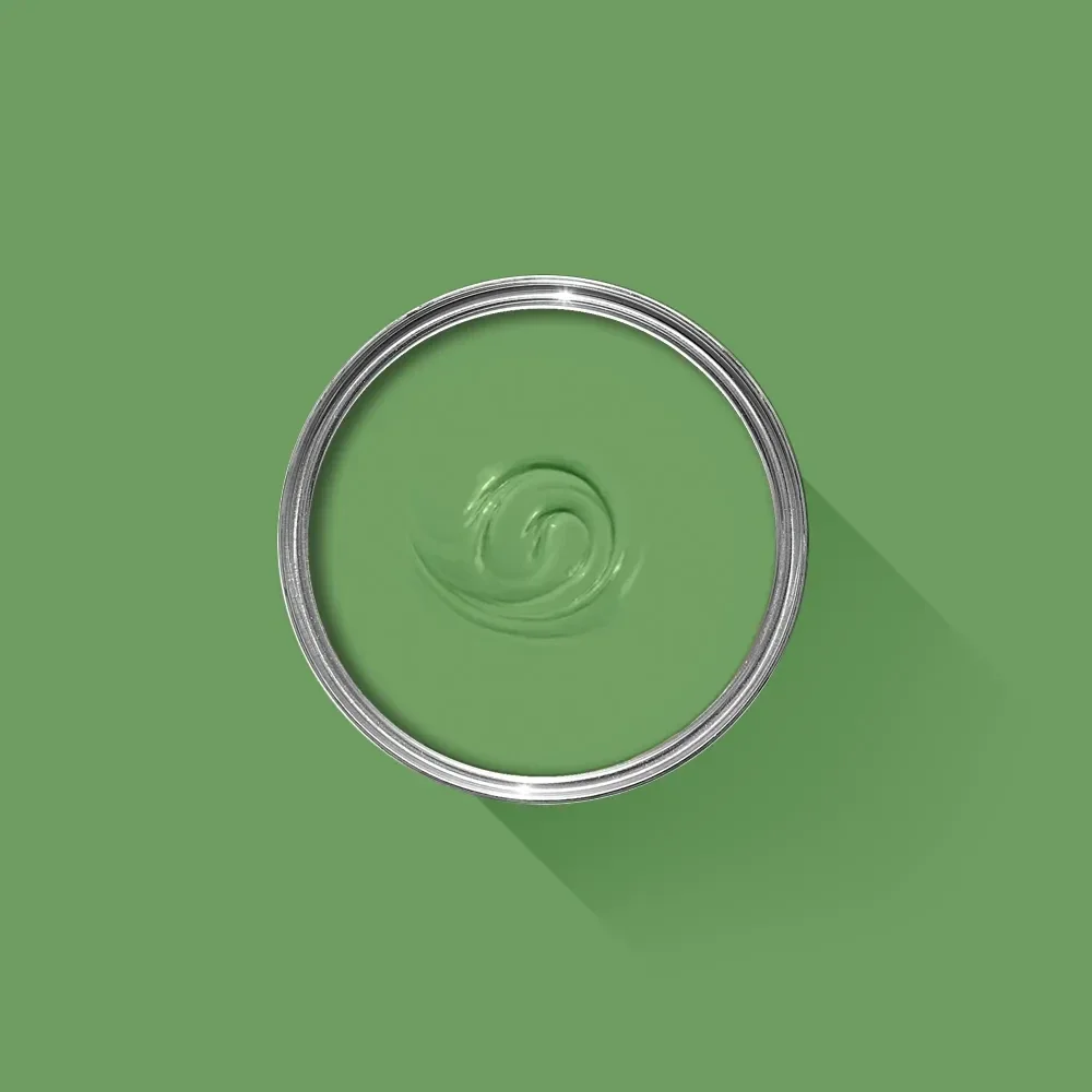 Farrow & Ball Raw Tomatillo CB6 Estate Emulsion