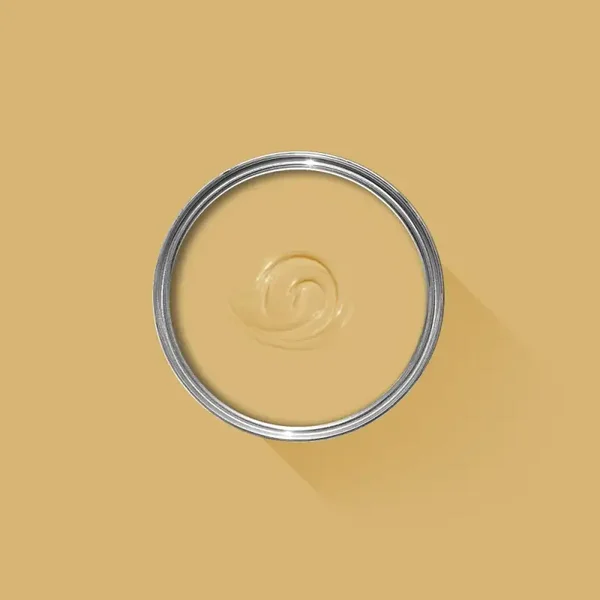 Farrow & Ball Sudbury Yellow 51 Exterior Masonry