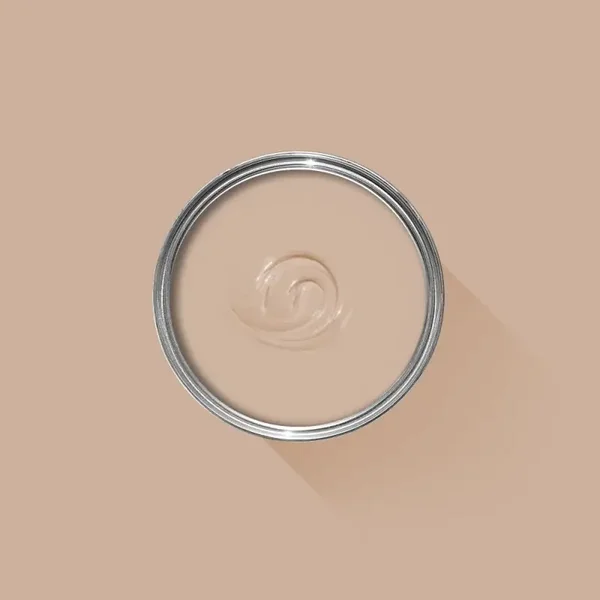 Farrow & Ball Templeton Pink 303 Exterior Masonry