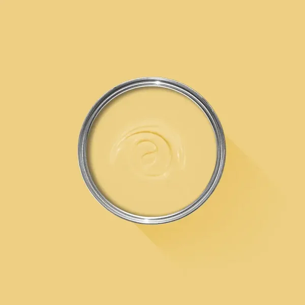 Farrow & Ball Citron 74 Exterior Masonry