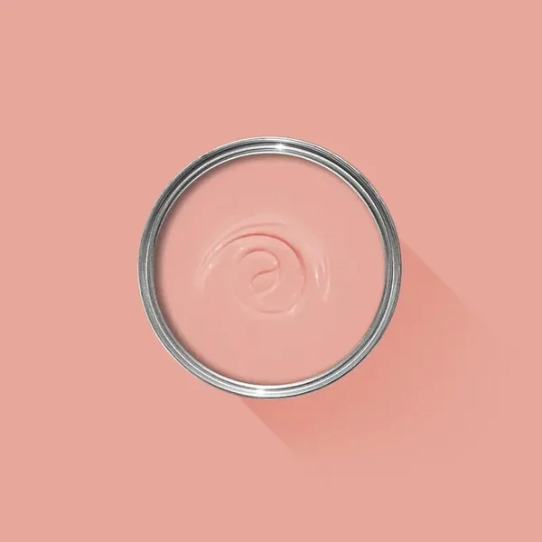 Farrow & Ball Blooth Pink 9806 Exterior Masonry