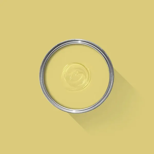 Farrow & Ball Citrona CC3 Exterior Masonry