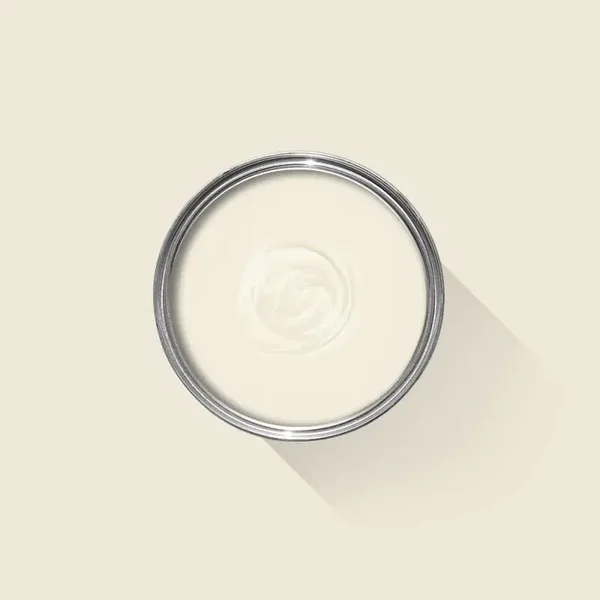 Farrow & Ball Snow White W1 Exterior Masonry