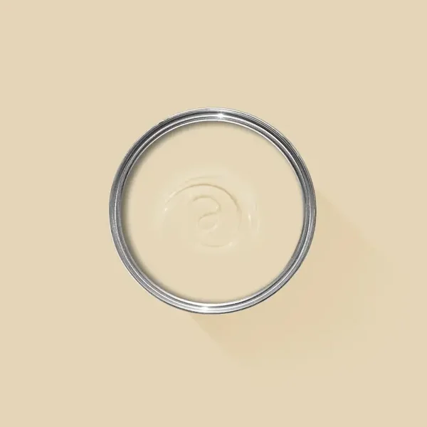 Farrow & Ball Orange Coloured White W5 Exterior Masonry