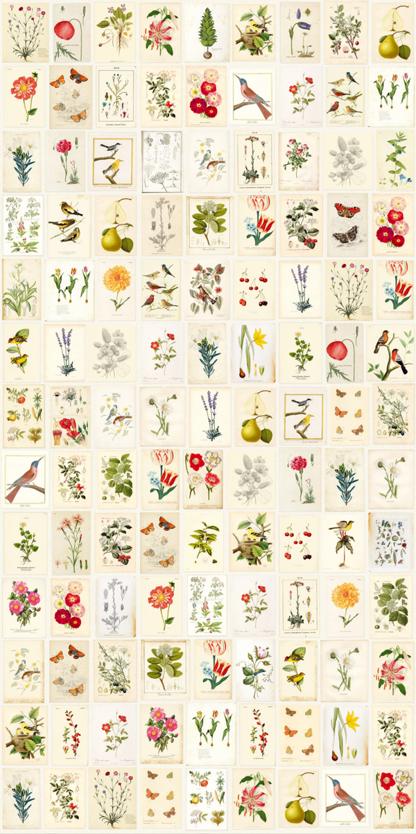 Eijffinger Pip Studio 3 341086