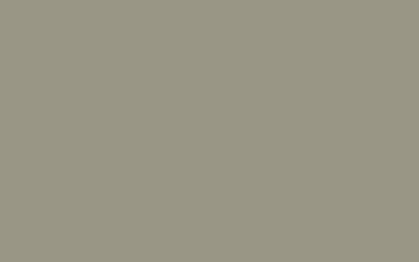 Little Greene Putti 292 (Absolute Matt Emulsion)