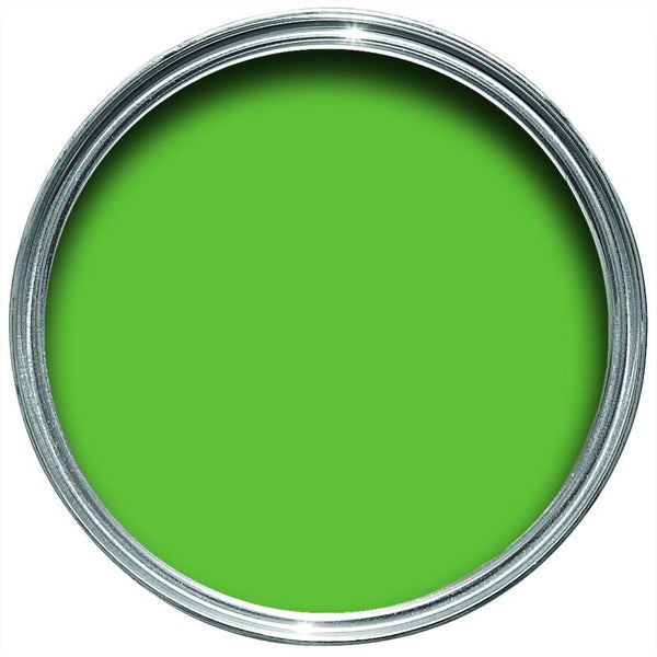 Farrow & Ball Raw Tomatillo CB6 Full Gloss