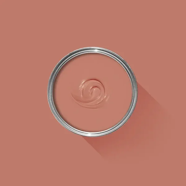 Farrow & Ball Red Earth 64 Modern Emulsion