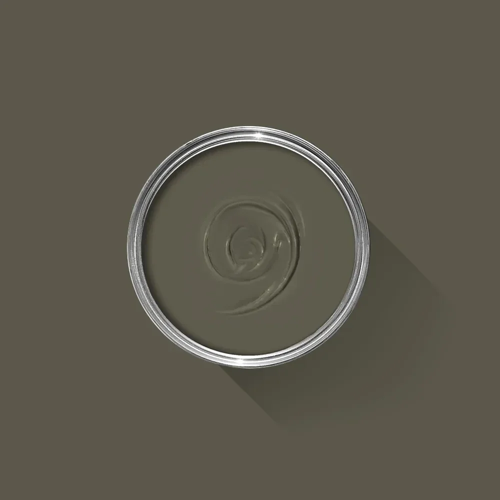 Farrow & Ball Reduced Green 313 (sample)