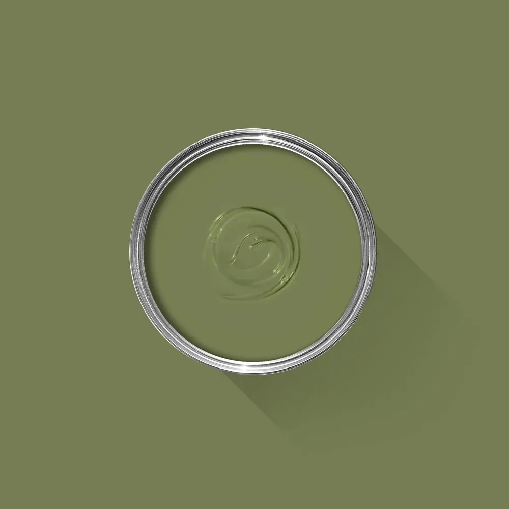 Farrow & Ball Sap Green 199 (sample)