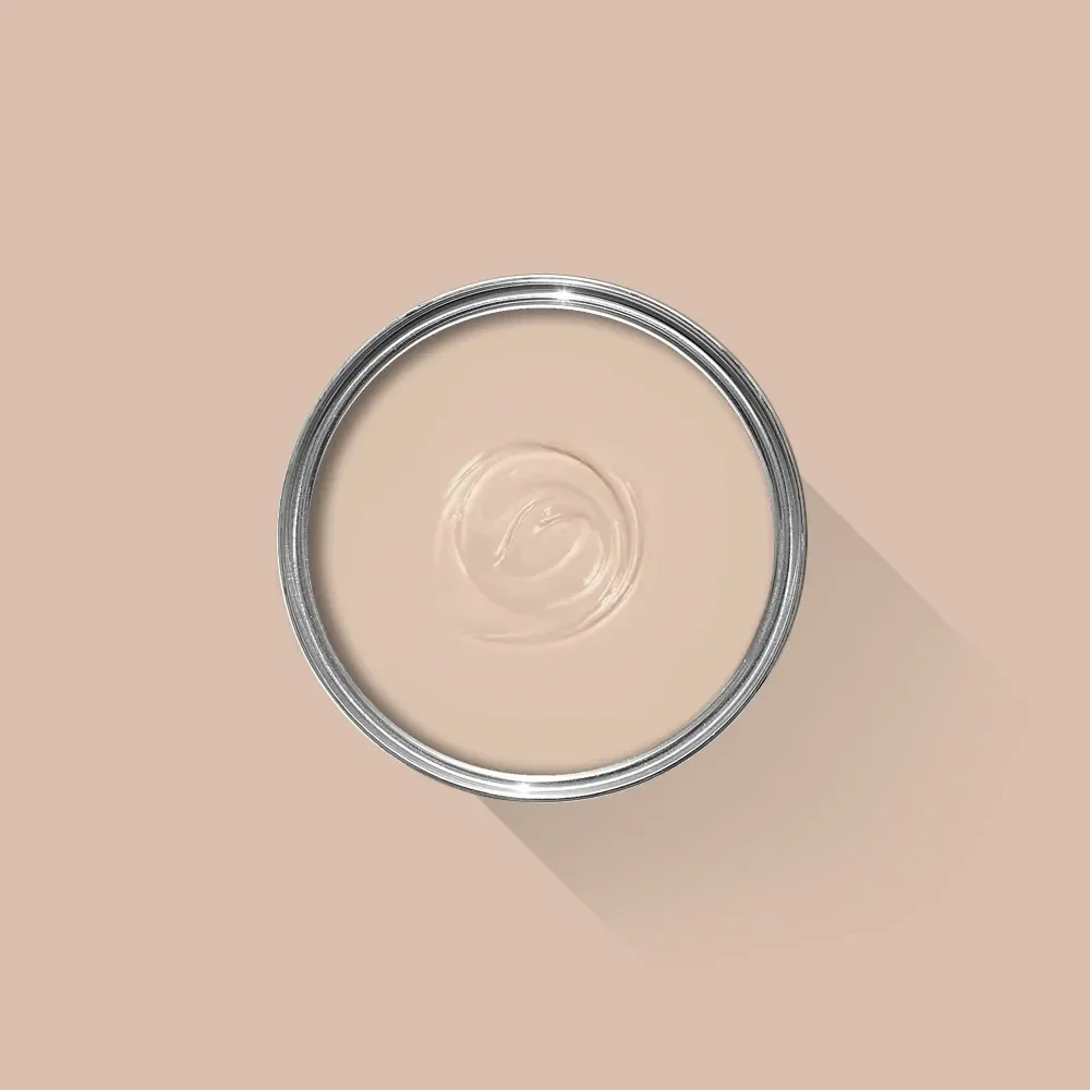 Farrow & Ball, Setting Plaster 231 (sample)