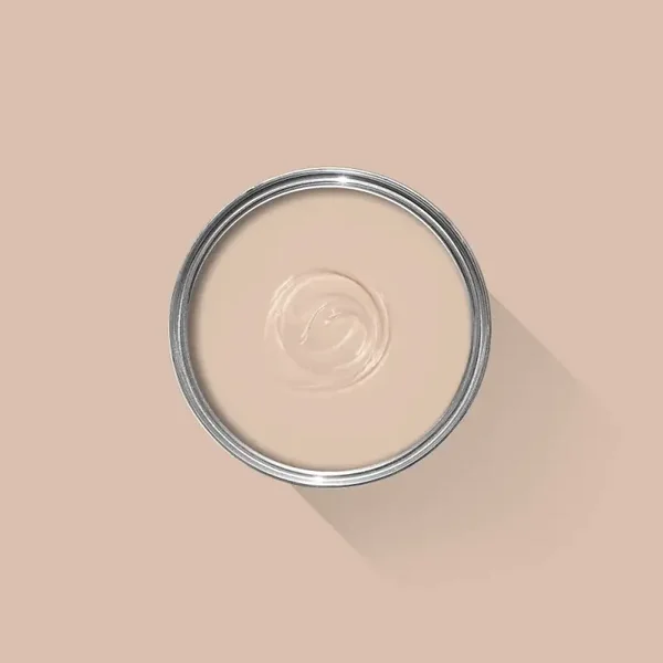 Farrow & Ball Setting Plaster 231 Flat Eggshell
