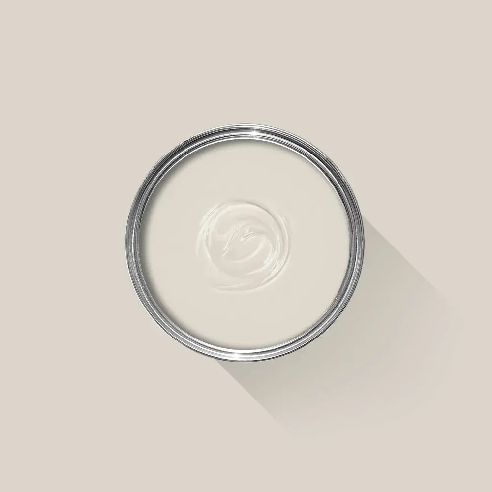 Farrow & Ball, Skimming Stone 241 (sample)
