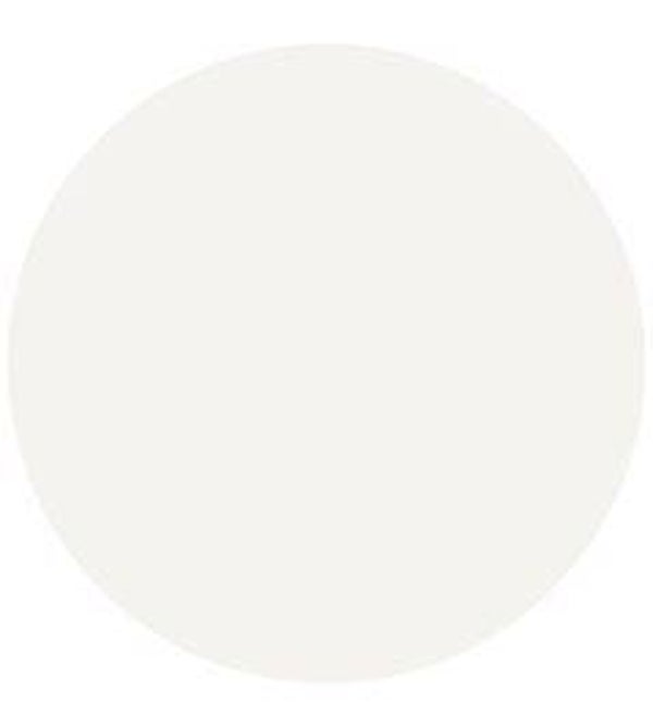 Sanderson Snowy Owl 28 Eggshell