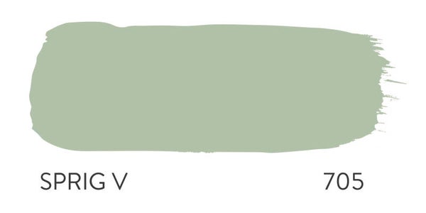 Paint & Paper Library Sprig V 705 (Architects' Satinwood)