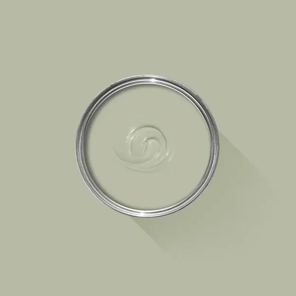 Farrow & Ball Vert de Terre 234 Modern Eggshell