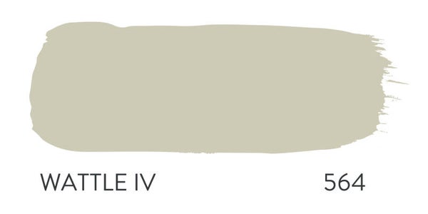 Paint & Paper Library Wattle IV 564 (Pure Flat Emulsion)