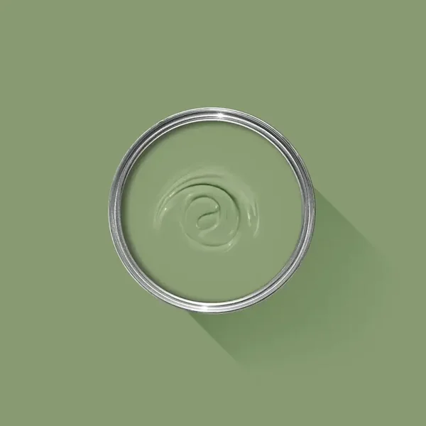 Farrow & Ball Yeabridge Green 287 Full Gloss