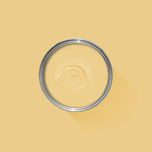 Farrow & Ball Yellow Ground 218 Flat Eggshell