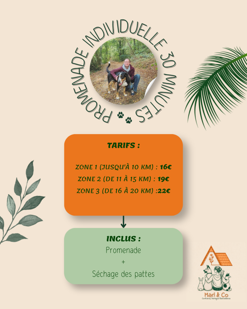 tarifs promenade individuelle 30 minutes