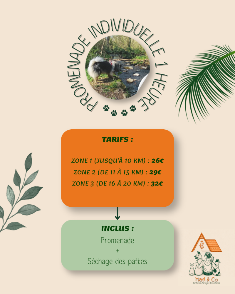 tarifs promenade individuelle 1 heure