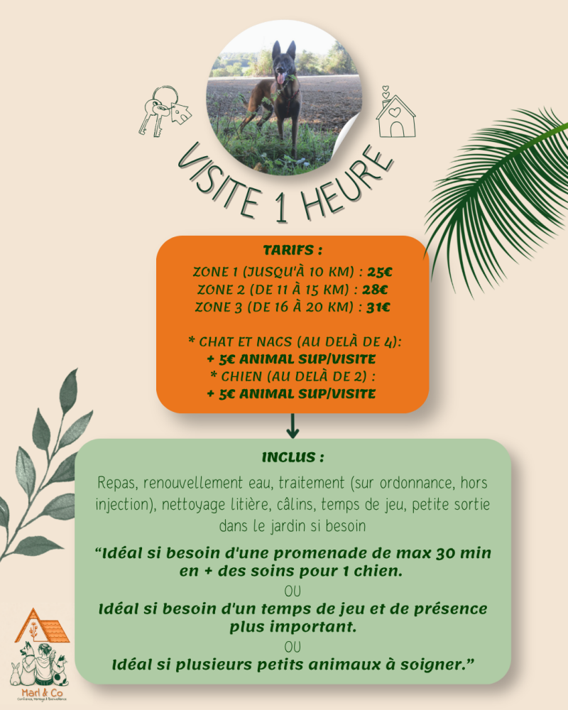 tarifs visite 1 heure