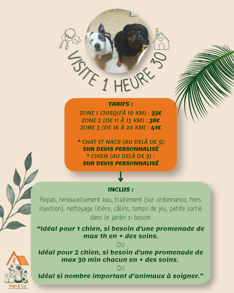 tarifs visite 1 heure 30