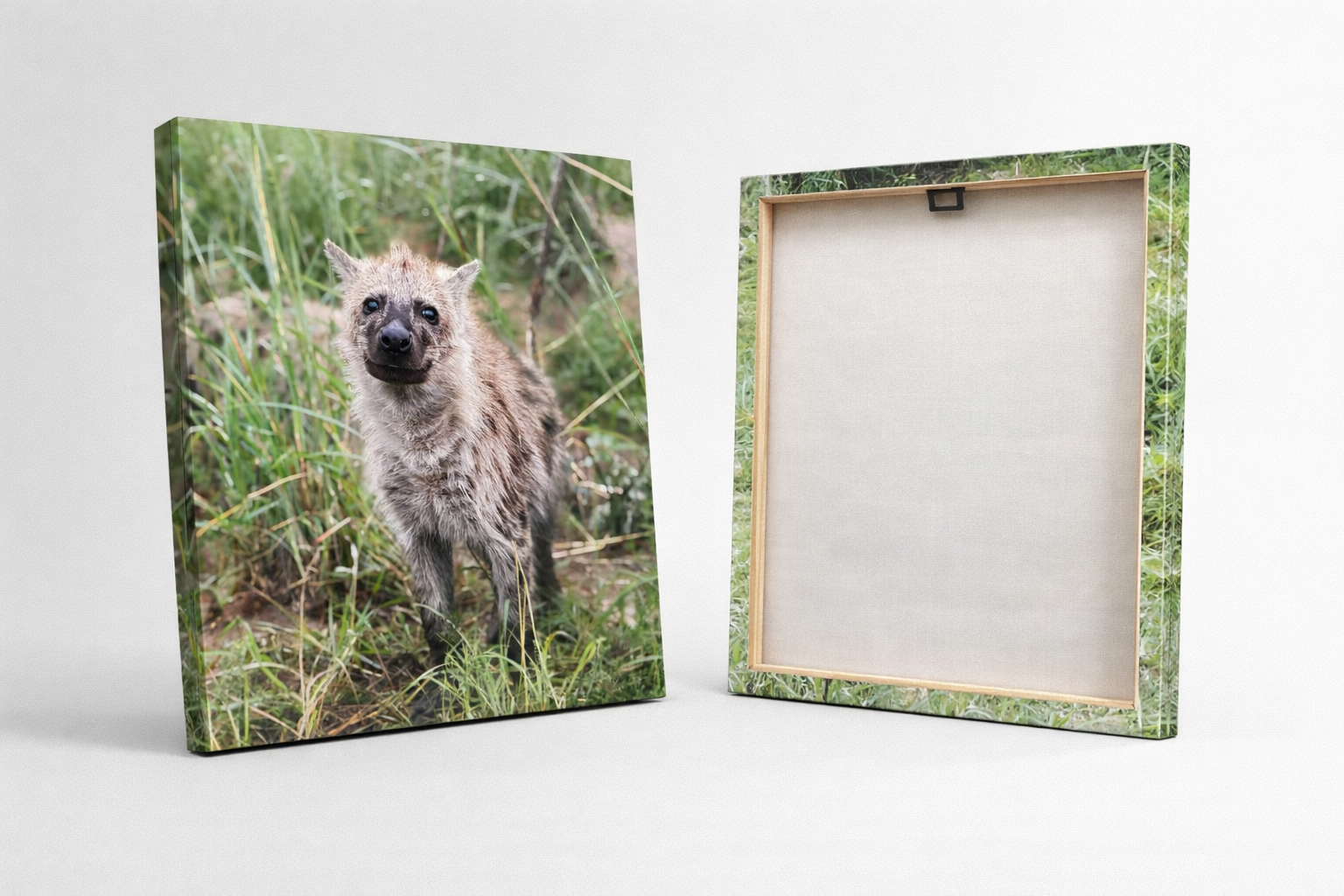 Tableau photo jeune hyène – Toile 40x40 cm