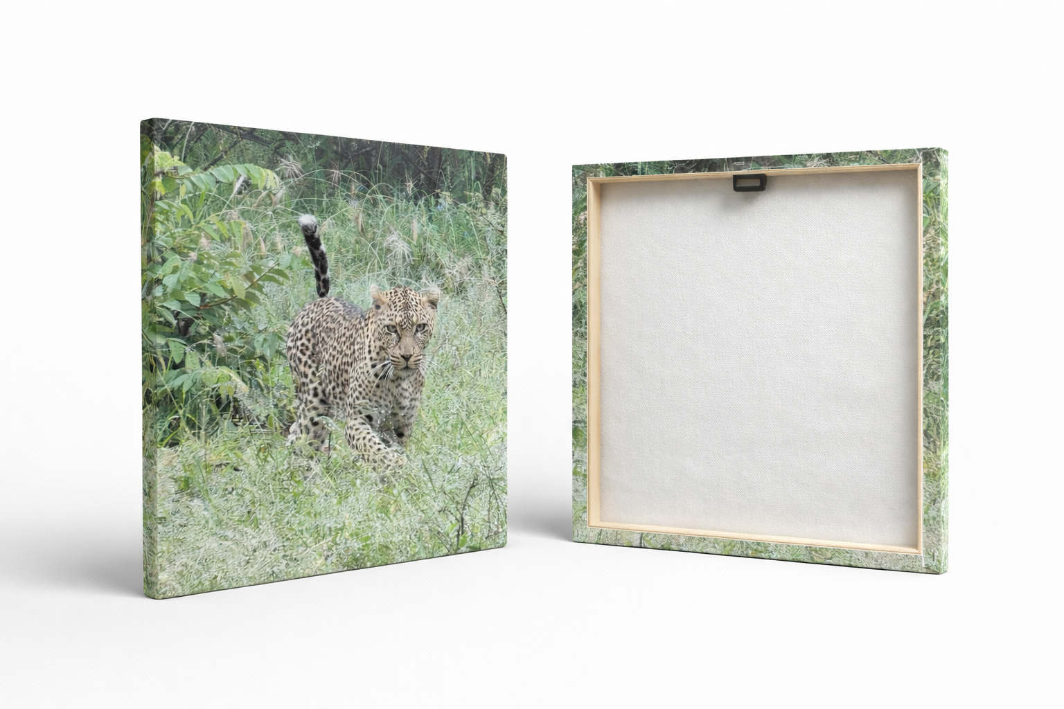 Tableau photo Léopard – Toile 40x40 cm