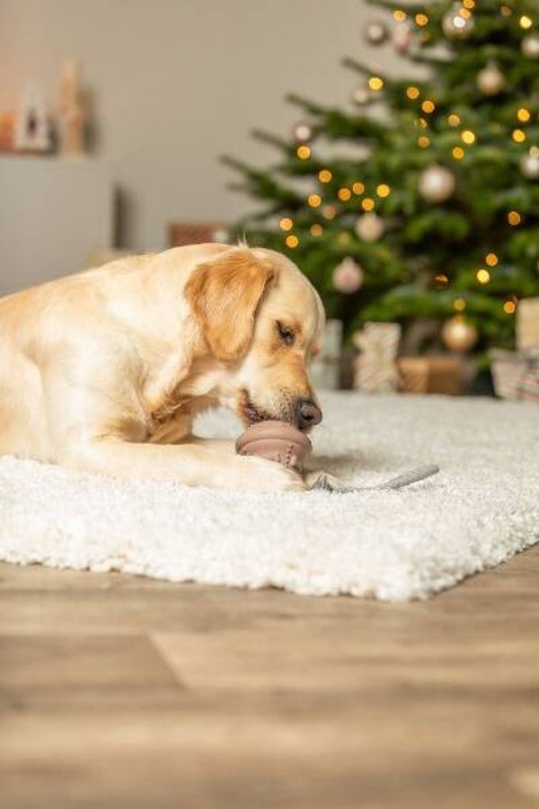 Trixie Glocke am Tau Weihnachten