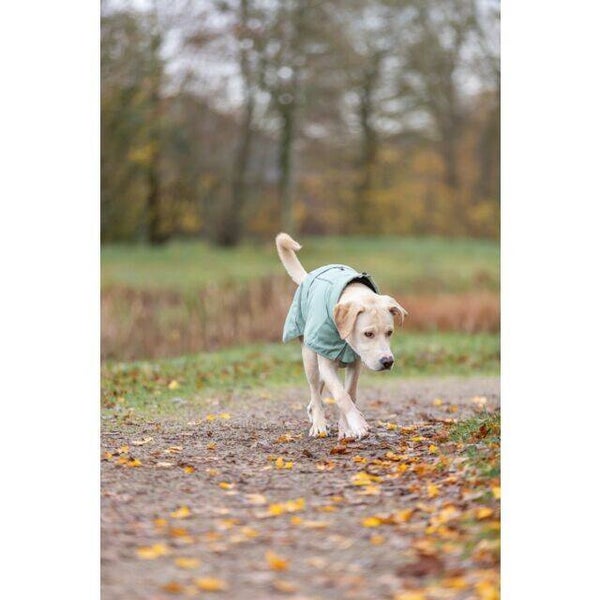 Regenmantel CityStyle Dublin salbei 40cm Hundemode