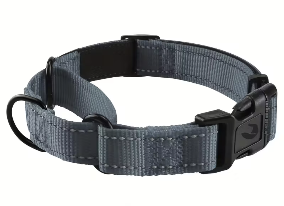 Martingale Dog Collars