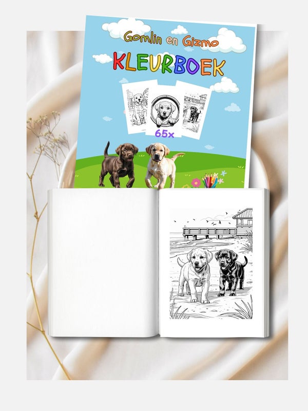 Het kleurboek van Gomlin en Gizmo