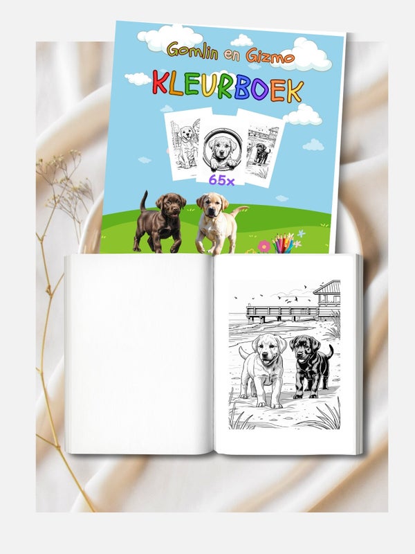 Boek 1 — kleurboek